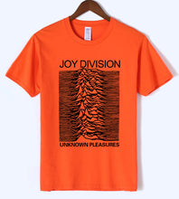 Load image into Gallery viewer, Unknown Pleasures - Joy Division