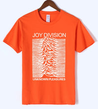 Load image into Gallery viewer, Unknown Pleasures - Joy Division