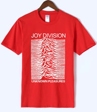 Load image into Gallery viewer, Unknown Pleasures - Joy Division