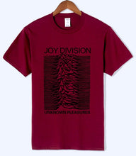 Load image into Gallery viewer, Unknown Pleasures - Joy Division