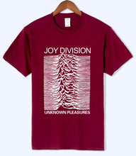 Load image into Gallery viewer, Unknown Pleasures - Joy Division